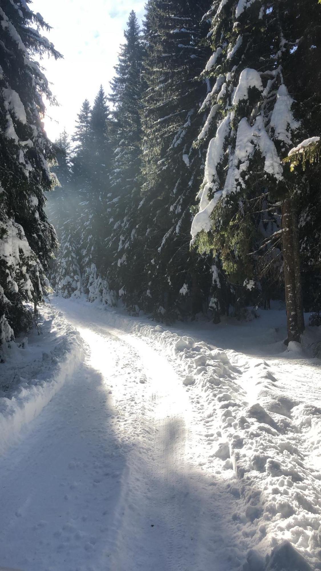 Chalet Kovacevic Žabljak Exteriör bild