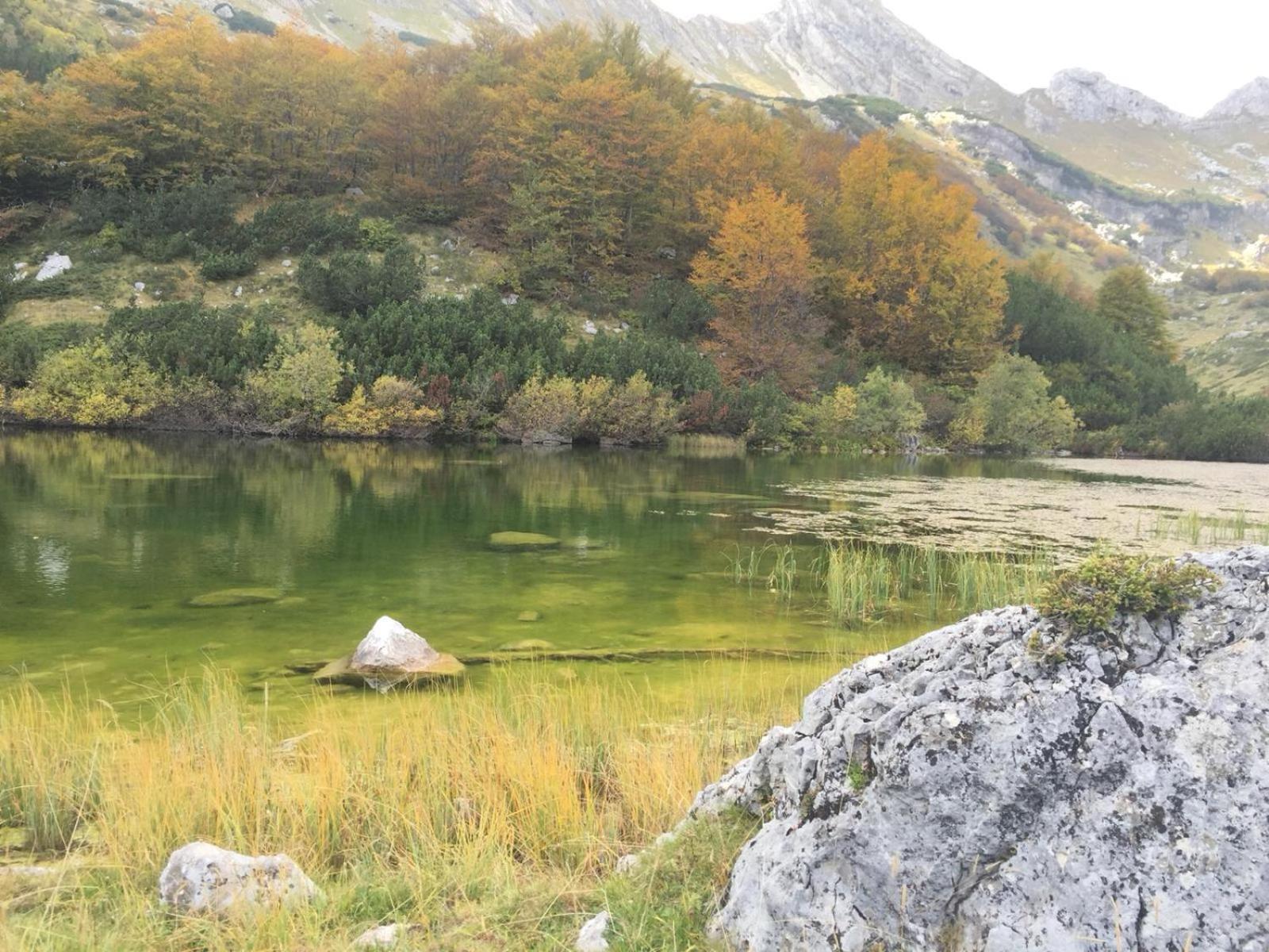 Chalet Kovacevic Žabljak Exteriör bild